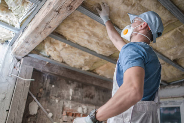 Best Insulation Maintenance and Repair in North Kingsville, OH
